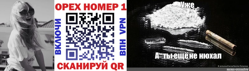 COCAIN Fish Scale  Купить закладки  Малгобек 