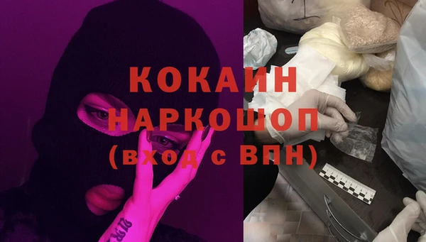 МДПВ Гусев