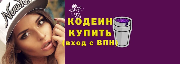 МДПВ Гусев