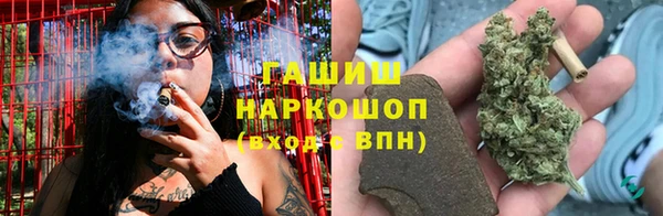 МДПВ Гусев