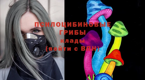 МДПВ Гусев