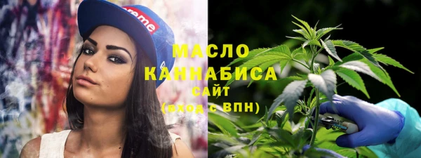 МДПВ Гусев